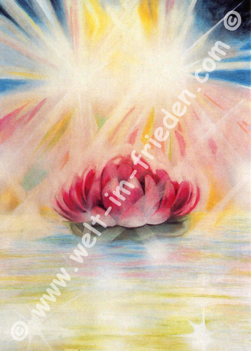 Nr. 17 - Lotusblume - Leinwand-Bild 40 x 56